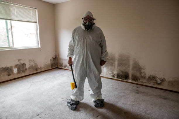 Best Industrial Mold Remediation in Canfield, OH